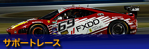 サポートレース